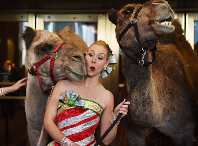 daily picdump 89 pics 36.html - 89 HD Photos | Premium Gallery 2016