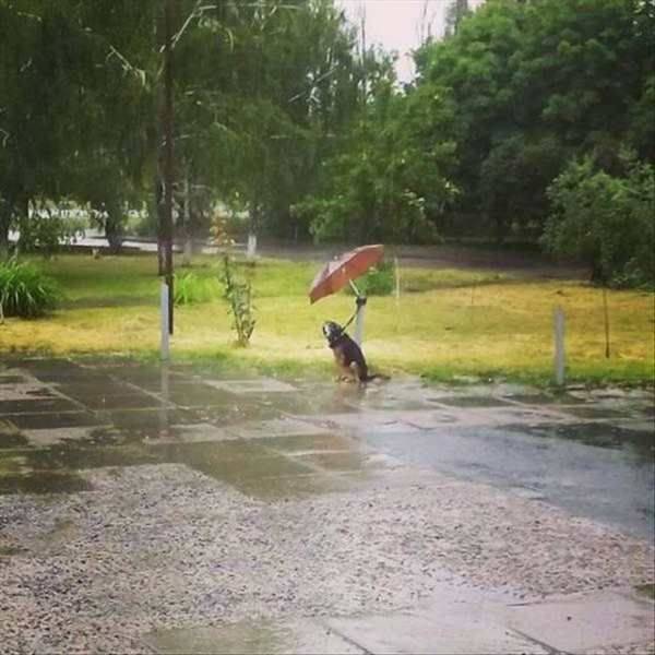 daily picdump 89 pics 36.html - 89 HD Photos | Premium Gallery 2016