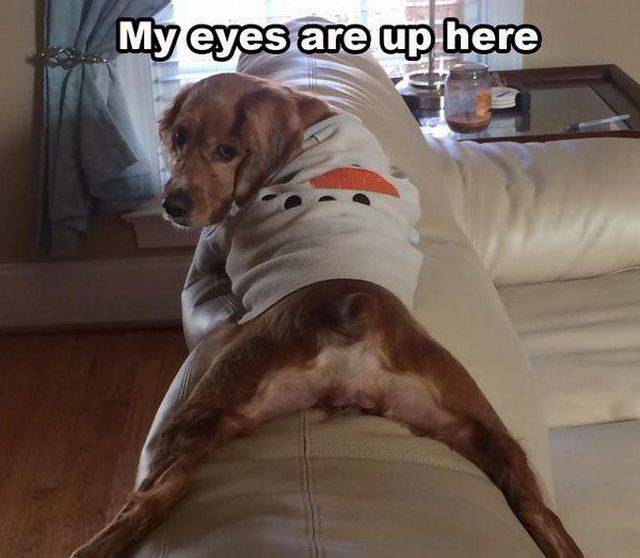 daily picdump 89 pics 36.html - 89 HD Photos | Premium Gallery 2016