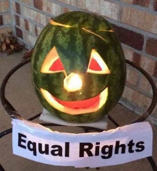 daily picdump 89 pics 36.html - 89 HD Photos | Premium Gallery 2016