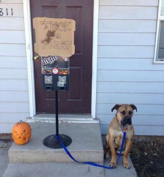 daily picdump 89 pics 36.html - 89 HD Photos | Premium Gallery 2016