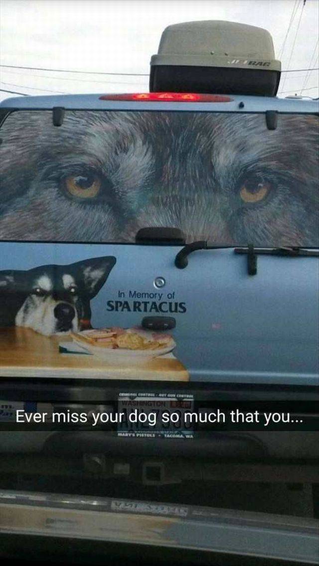 daily picdump 89 pics 36.html - 89 HD Photos | Premium Gallery 2016