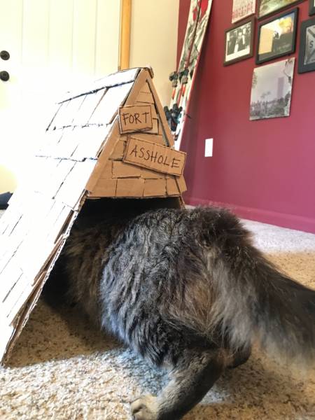 morning picdump 50 pics 2.html - 50 HD Photos | Premium Gallery 2016