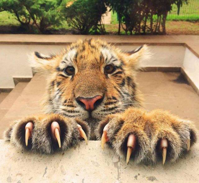 morning picdump 50 pics 2.html - 50 HD Photos | Premium Gallery 2016