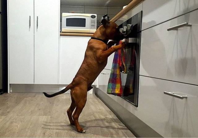 daily picdump 90 pics 35.html - 90 HD Photos | Premium Gallery 2016