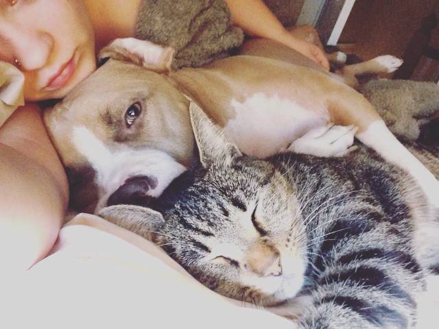 daily picdump 90 pics 35.html - 90 HD Photos | Premium Gallery 2016