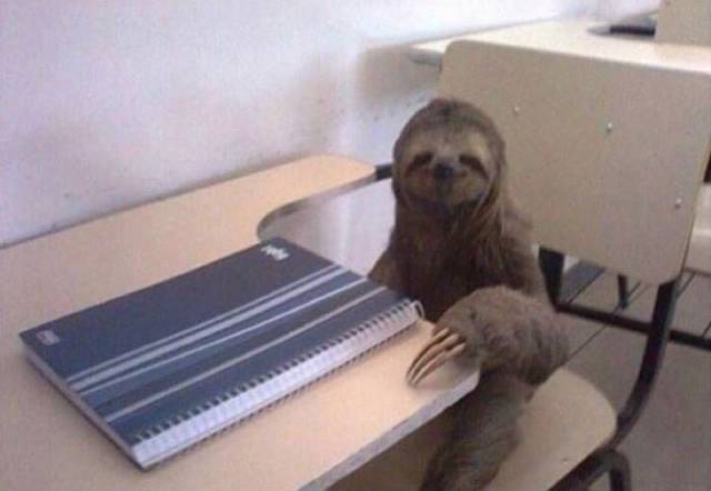 daily picdump 90 pics 35.html - 90 HD Photos | Premium Gallery 2016