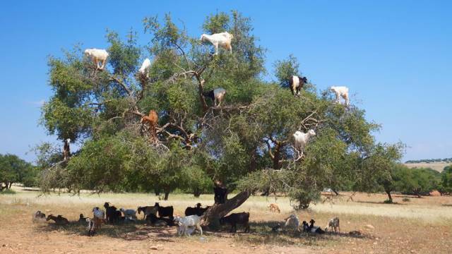 daily picdump 90 pics 35.html - 90 HD Photos | Premium Gallery 2016