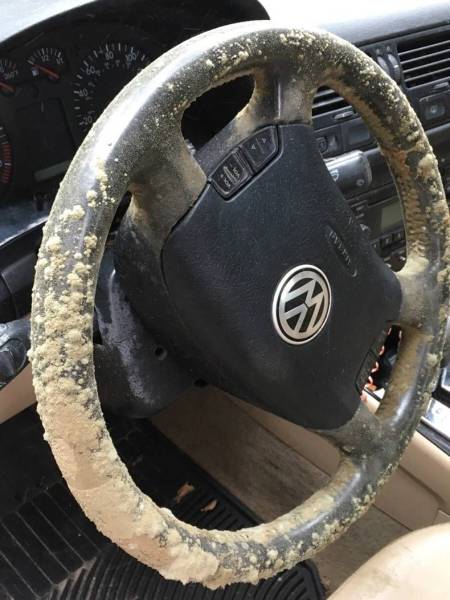 daily picdump 90 pics 35.html - 90 HD Photos | Premium Gallery 2016