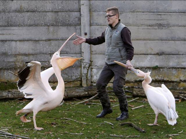 daily picdump 90 pics 35.html - 90 HD Photos | Premium Gallery 2016