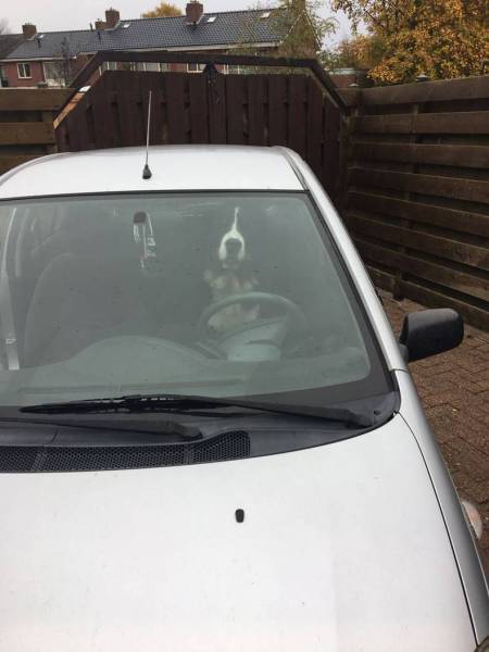 daily picdump 90 pics 35.html - 90 HD Photos | Premium Gallery 2016