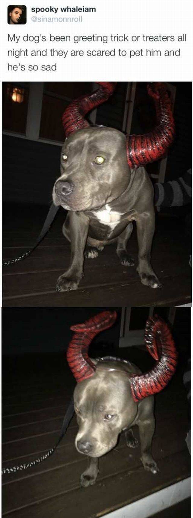 daily picdump 90 pics 35.html - 90 HD Photos | Premium Gallery 2016