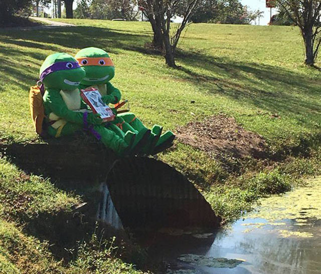 morning picdump 50 pics 3.html - 50 HD Photos | Premium Gallery 2016