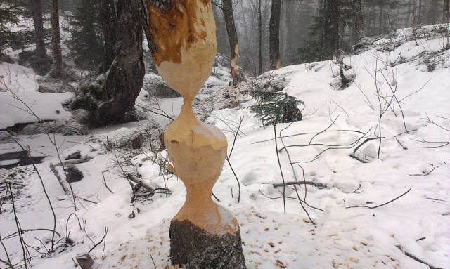 morning picdump 50 pics 3.html - 50 HD Photos | Premium Gallery 2016