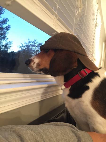 morning picdump 50 pics 3.html - 50 HD Photos | Premium Gallery 2016