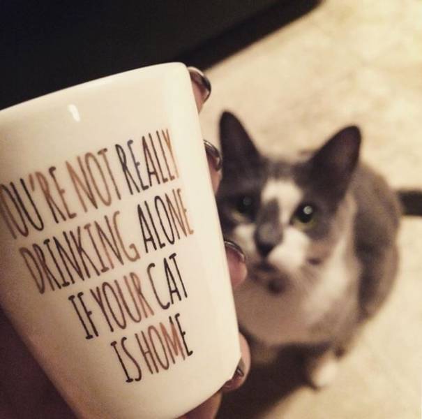 morning picdump 50 pics 3.html - 50 HD Photos | Premium Gallery 2016