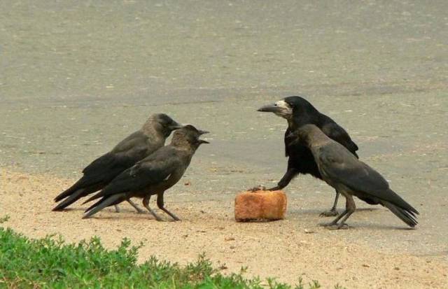 daily picdump 90 pics 2.html - 90 HD Photos | Premium Gallery 2016