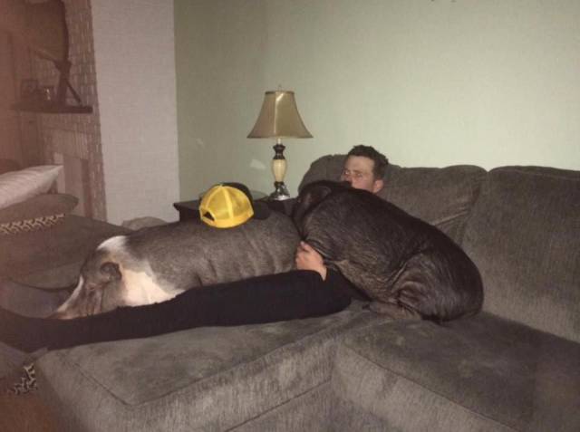 daily picdump 90 pics 2.html - 90 HD Photos | Premium Gallery 2016