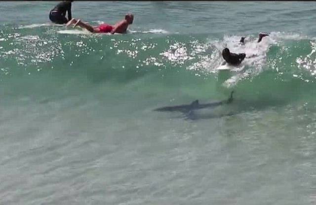 daily picdump 90 pics 2.html - 90 HD Photos | Premium Gallery 2016