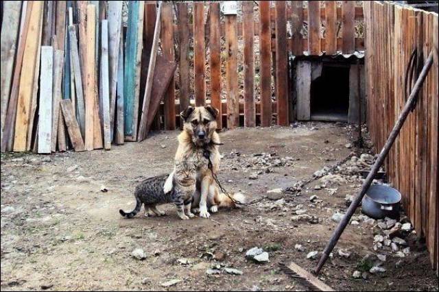 daily picdump 90 pics 2.html - 90 HD Photos | Premium Gallery 2016