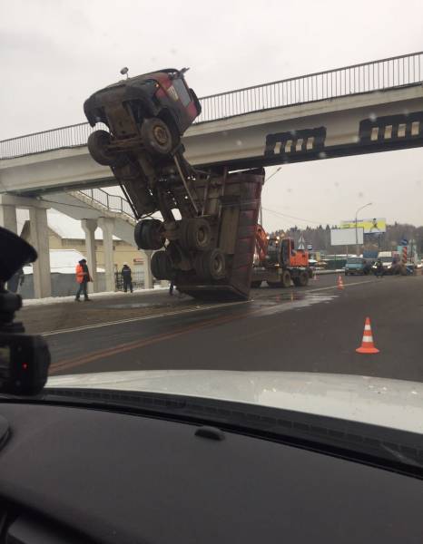 daily picdump 90 pics 2.html - 90 HD Photos | Premium Gallery 2016