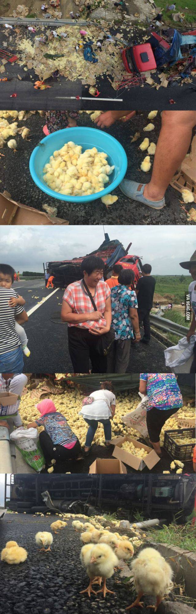 daily picdump 90 pics 2.html - 90 HD Photos | Premium Gallery 2016