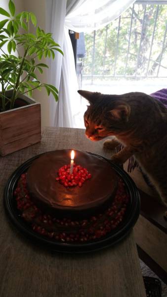 morning picdump 50 pics 18.html - 50 HD Photos | Premium Gallery 2016