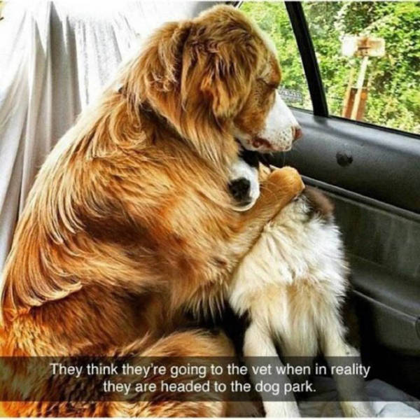 morning picdump 50 pics 18.html - 50 HD Photos | Premium Gallery 2016