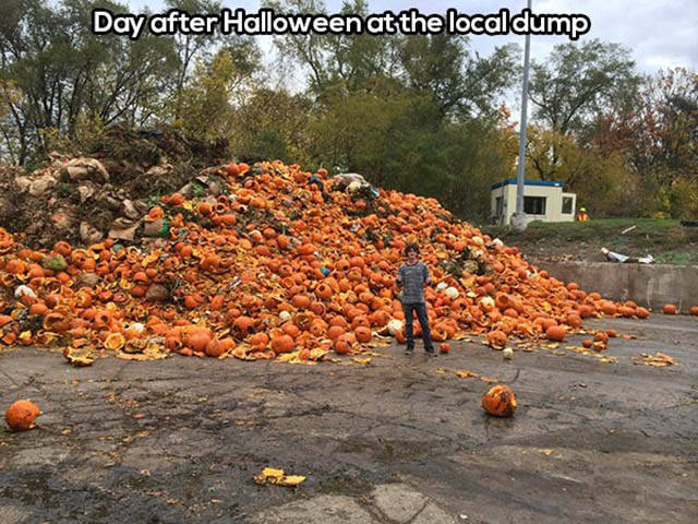 morning picdump 50 pics 18.html - 50 HD Photos | Premium Gallery 2016