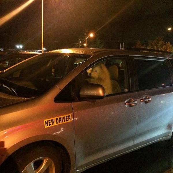 morning picdump 50 pics 18.html - 50 HD Photos | Premium Gallery 2016