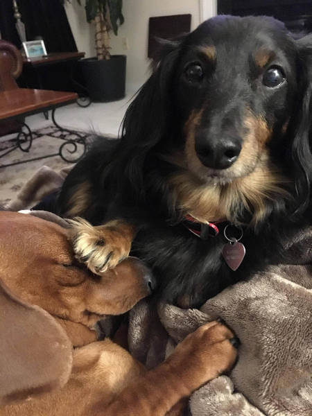 morning picdump 50 pics 18.html - 50 HD Photos | Premium Gallery 2016