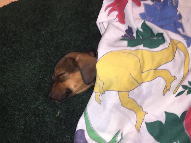 Daily Picdump [WEEKEND EDITION]