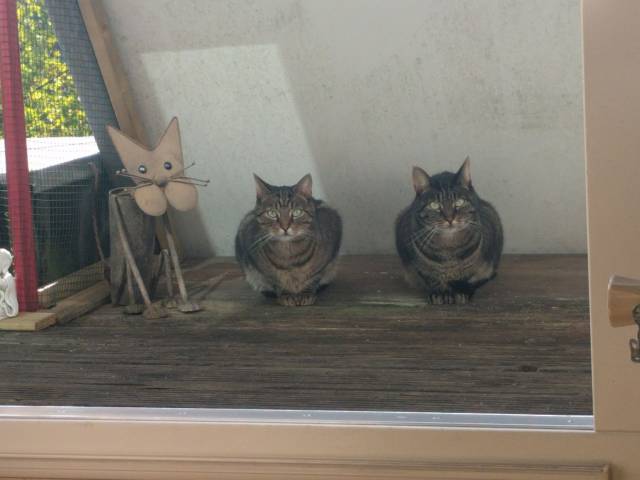 Daily Picdump [WEEKEND EDITION]