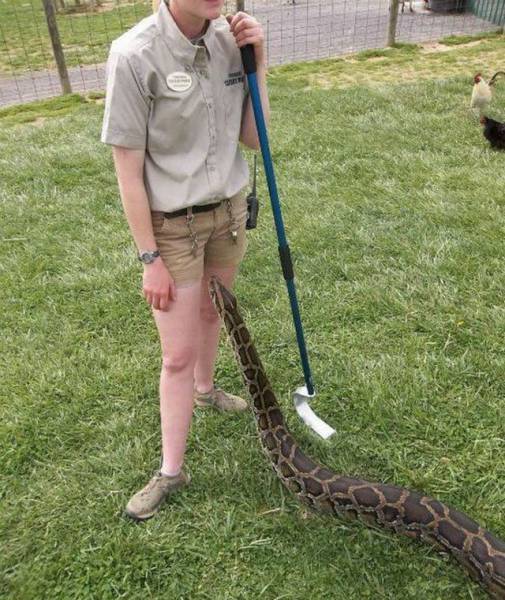 daily picdump 100 pics 29.html - 100 HD Photos | Premium Gallery 2016