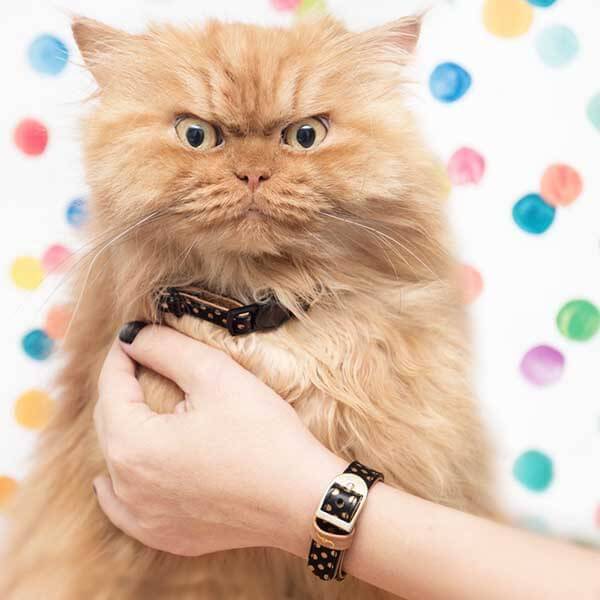 daily picdump 100 pics 29.html - 100 HD Photos | Premium Gallery 2016