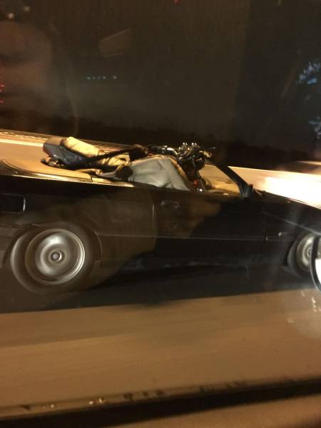 daily picdump 100 pics 29.html - 100 HD Photos | Premium Gallery 2016