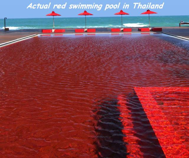 daily picdump 100 pics 29.html - 100 HD Photos | Premium Gallery 2016