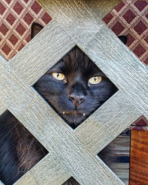 daily picdump 100 pics 29.html - 100 HD Photos | Premium Gallery 2016