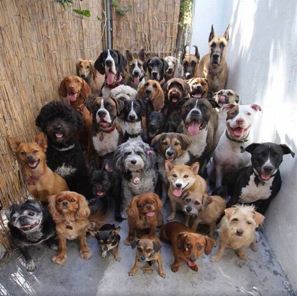 daily picdump 100 pics 29.html - 100 HD Photos | Premium Gallery 2016