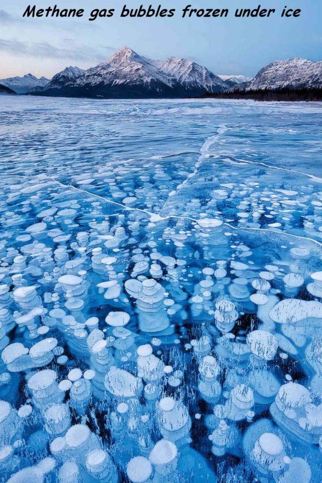 daily picdump 100 pics 29.html - 100 HD Photos | Premium Gallery 2016