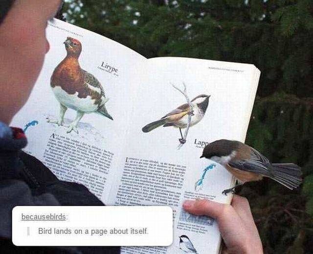 daily picdump 88 pics 30.html - 88 HD Photos | Premium Gallery 2016