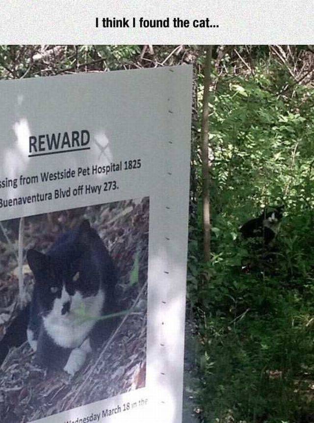 daily picdump 88 pics 30.html - 88 HD Photos | Premium Gallery 2016