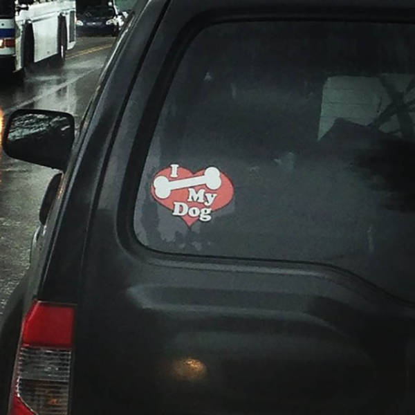 morning picdump 50 pics 1.html - 50 HD Photos | Premium Gallery 2016