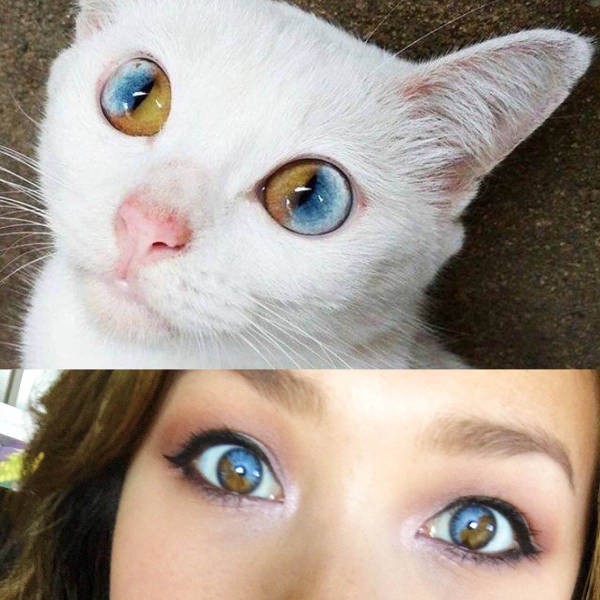 morning picdump 50 pics 1.html - 50 HD Photos | Premium Gallery 2016