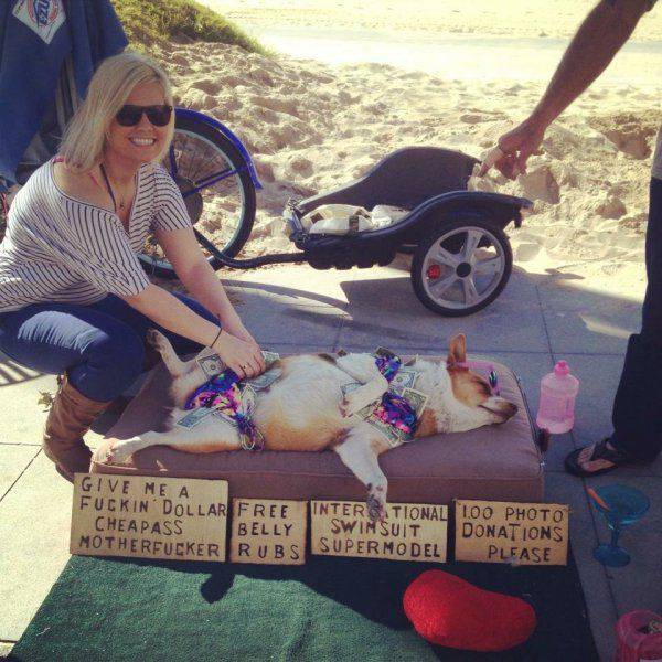 daily picdump 92 pics 35.html - 92 HD Photos | Premium Gallery 2016