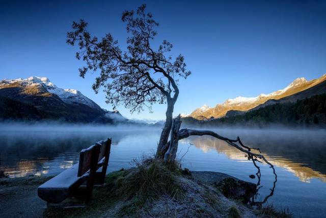 daily picdump 92 pics 35.html - 92 HD Photos | Premium Gallery 2016