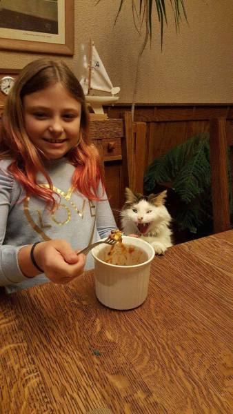 daily picdump 92 pics 35.html - 92 HD Photos | Premium Gallery 2016