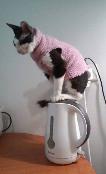 daily picdump 92 pics 35.html - 92 HD Photos | Premium Gallery 2016