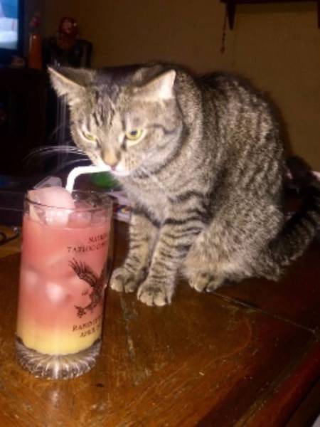 daily picdump 92 pics 35.html - 92 HD Photos | Premium Gallery 2016