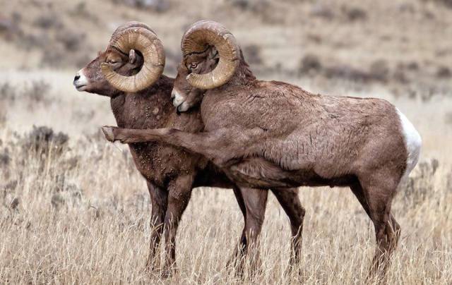 daily picdump 92 pics 35.html - 92 HD Photos | Premium Gallery 2016